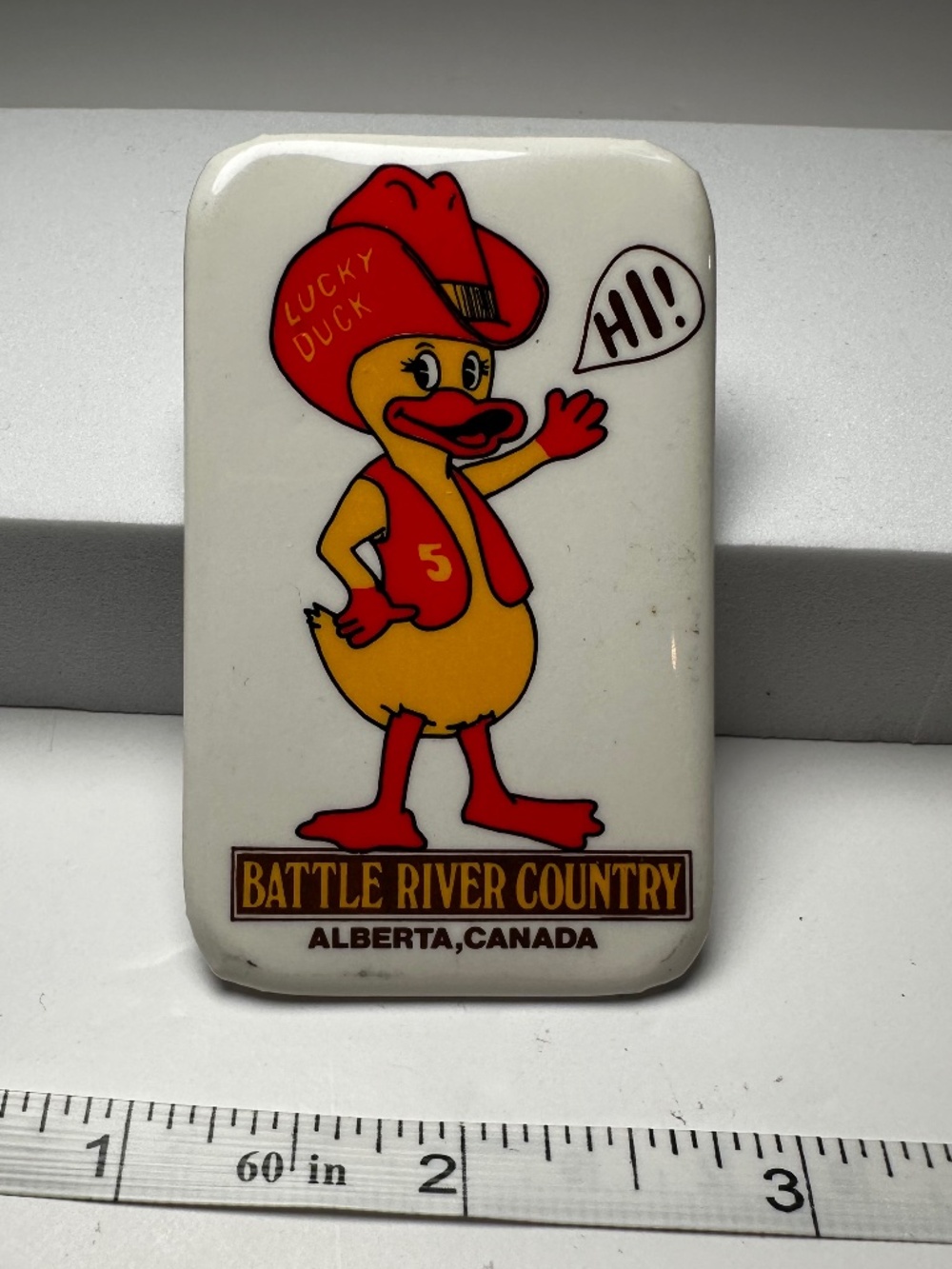Vintage Lucky Duck Battle River Country Alberta Canada Pinback Button